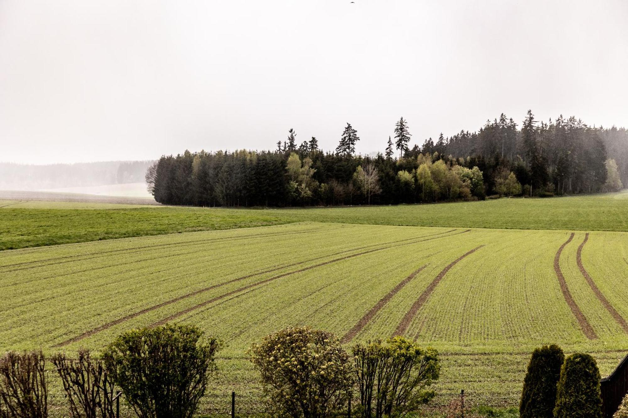 Ferienwohnung Fichtelblick Schonwald  Eksteriør bilde